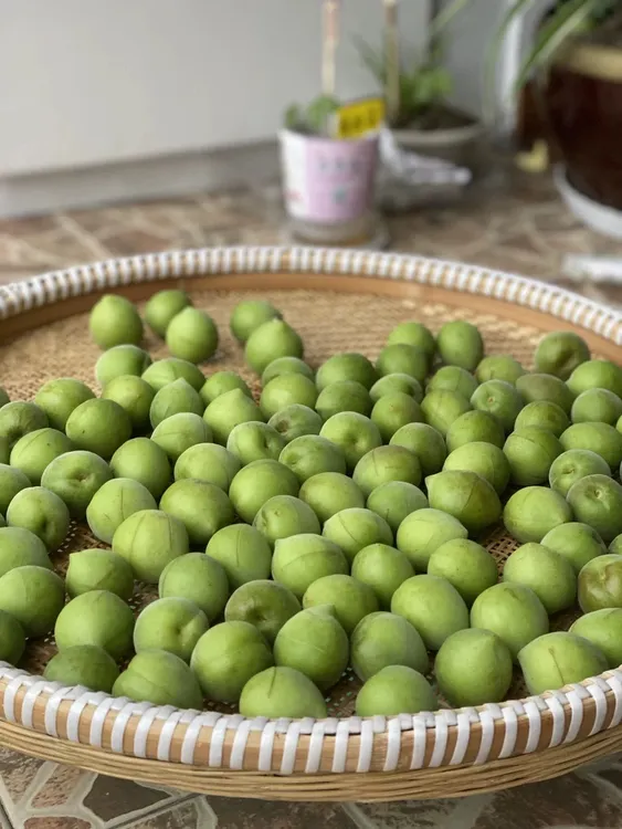 新鲜青梅果青梅之乡散装酸梅子泡酒青梅酒酵素果酱生梅子鲜果