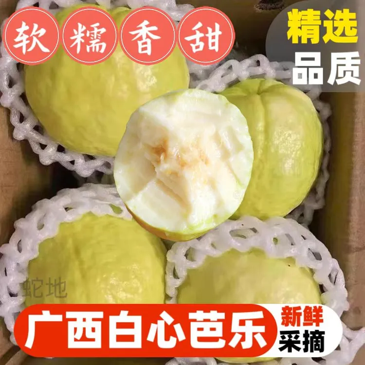 广西白心奶油芭乐当季新鲜水果软糯香甜多汁冰淇淋口感番石榴包邮