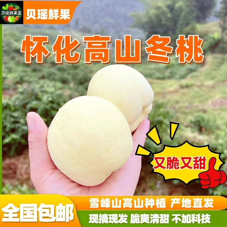 湖南怀化麻阳高山冬桃（白玉冬桃）果农自卖现摘清甜无酸纯甜脆桃