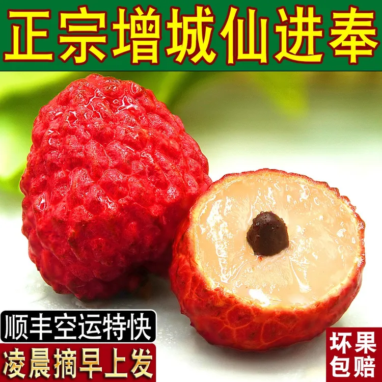 【顺丰冷链空运特快】正宗增城仙进奉荔枝超大大果新鲜现摘礼盒整箱