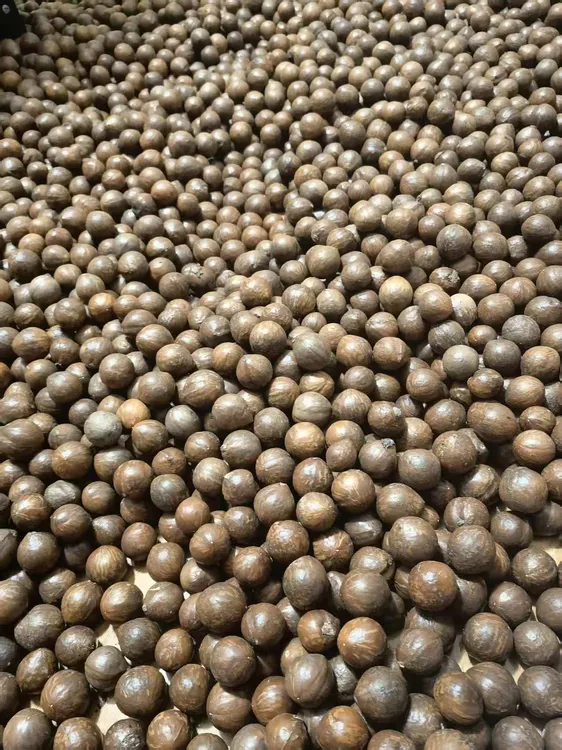 去青皮云南高山夏威夷果