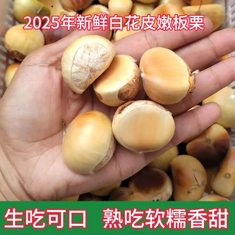 【圆通快递】2025年新鲜白花壳嫩板栗 信阳高山毛栗子大别山原产地
