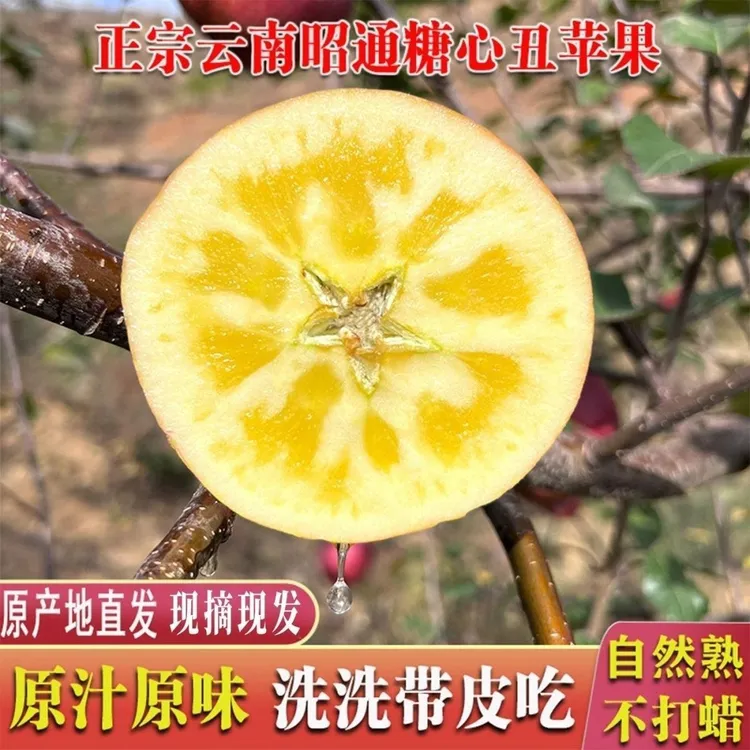 云南昭通红富士冰糖心丑苹果原产地直发脆甜多汁现摘现发