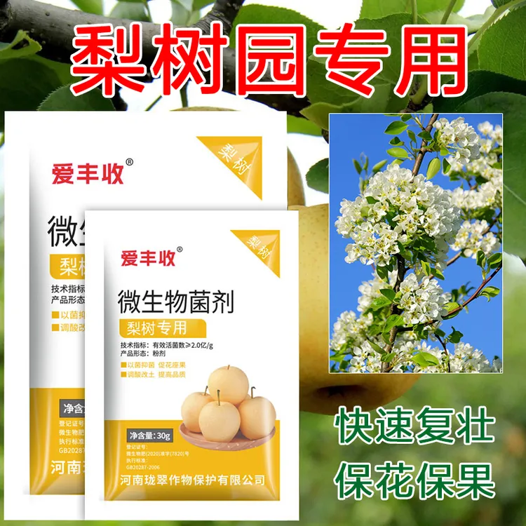 爱丰收梨树专用菌剂酥梨专用微生物菌剂梨砀山梨保花保果微生物肥
