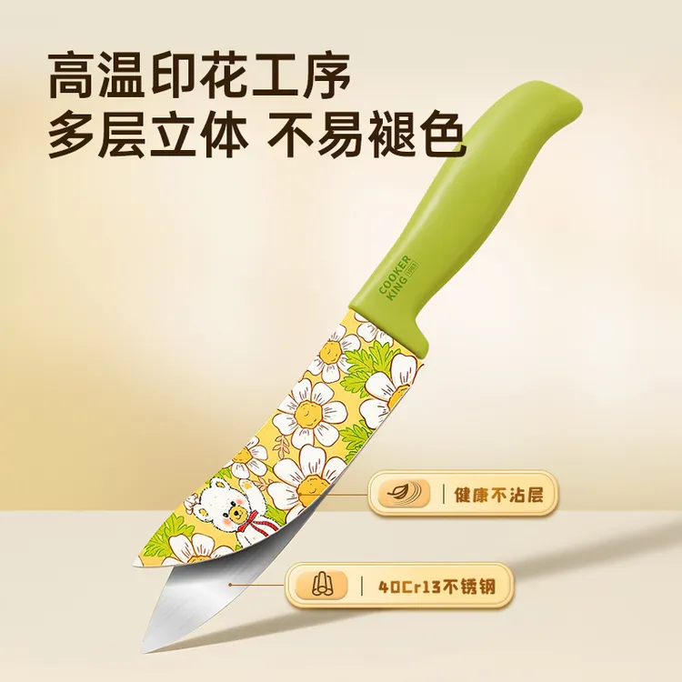 炊大皇厨师刀家用水果刀菜刀切片刀不锈钢厨房辅食刀宿舍已开刃