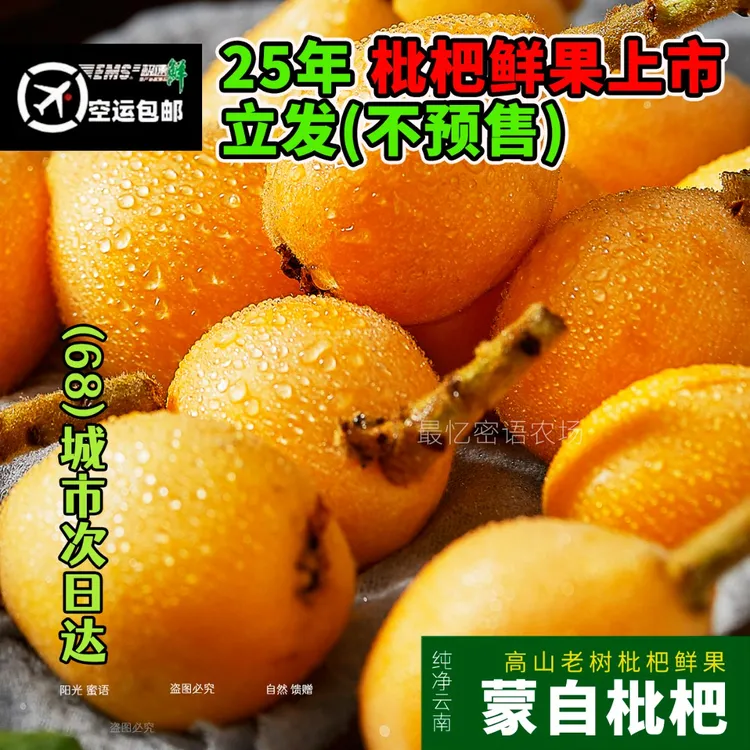 【现货空运】25年枇杷鲜果云南蒙自鲜果酸甜