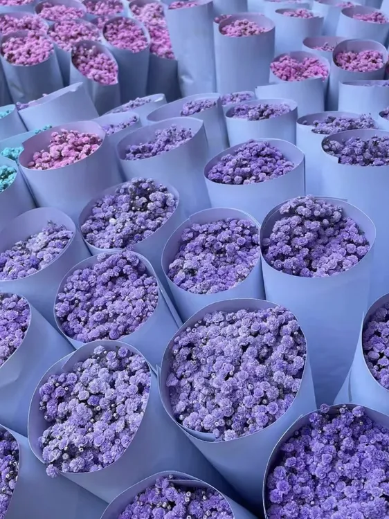 玫瑰下单备注颜色（3扎一个邮费）鲜花玫瑰花