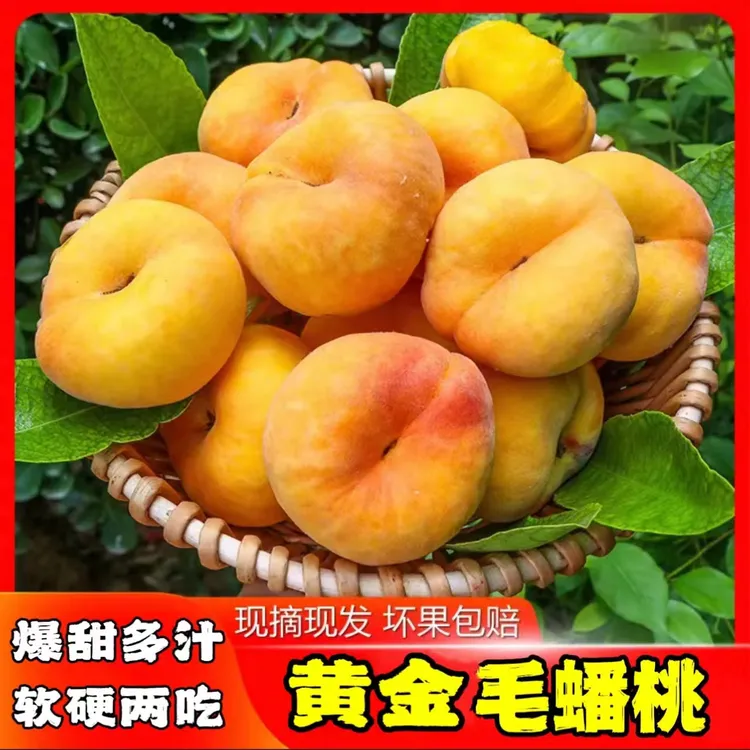 【京东顺丰包邮】蒙阴毛蟠桃黄金蟠桃现摘现发软硬两吃香甜脆甜
