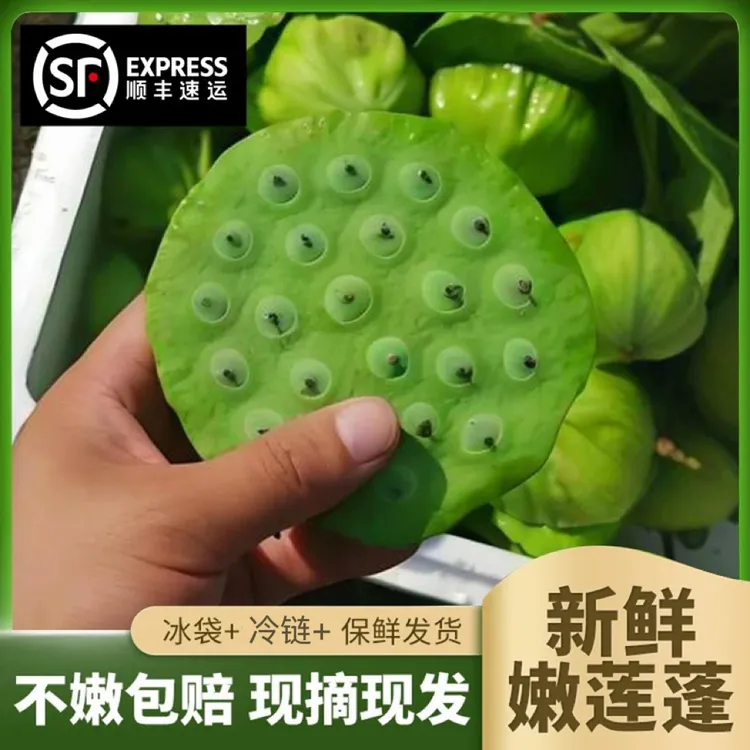 新鲜水果莲蓬顺丰冷链现采现发鲜嫩爽口莲蓬
