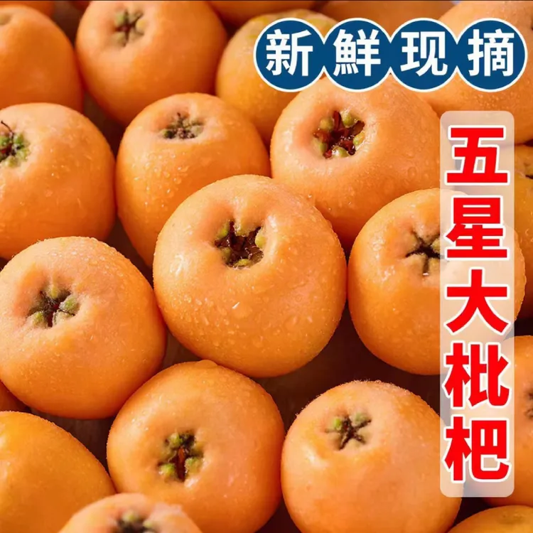 【DX】四川大五星枇杷高山老树甜枇杷新鲜采摘水果商品图