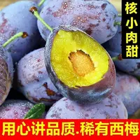 顺丰冷链蓝蜜西梅新鲜西梅水果当季应季西梅香甜正宗J