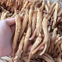 6年高丽籽 人参 可煲汤1