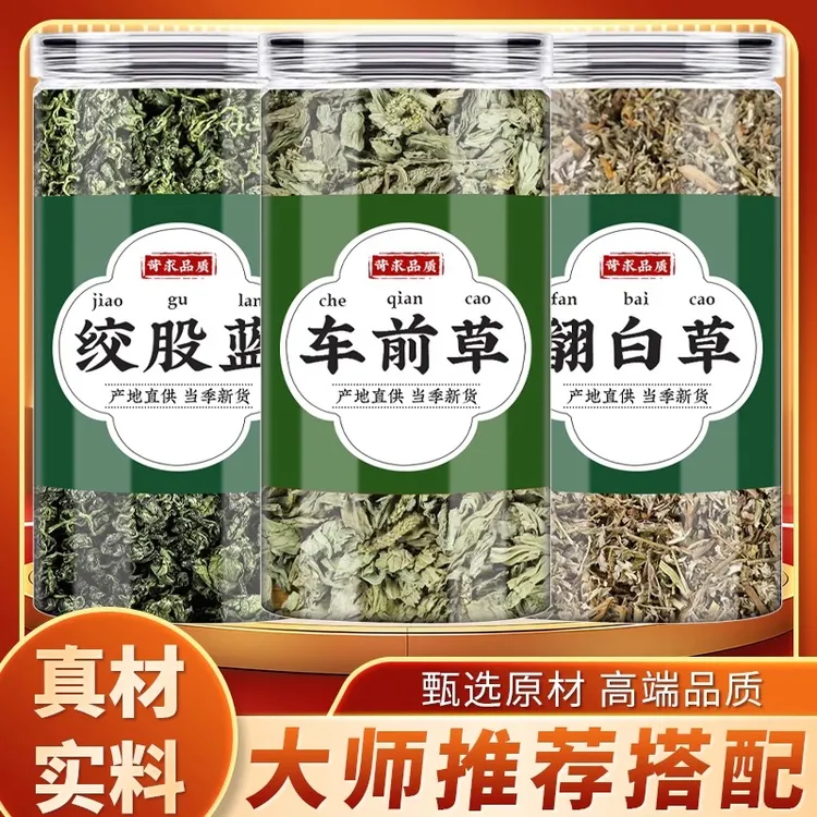 万草仲车前草翻白草绞股蓝茶组合车钱草番白草绞股兰泡茶水喝