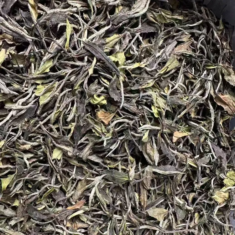 2025高山水仙白牡丹