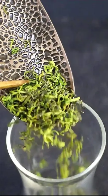 丰绽特别鲜N48花香带奶香奶白螺2025新茶