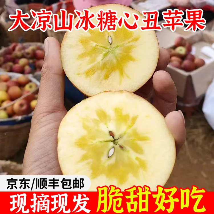 【顺丰包邮】大凉山冰糖心丑苹果正宗现摘现发香甜多汁保证糖心率