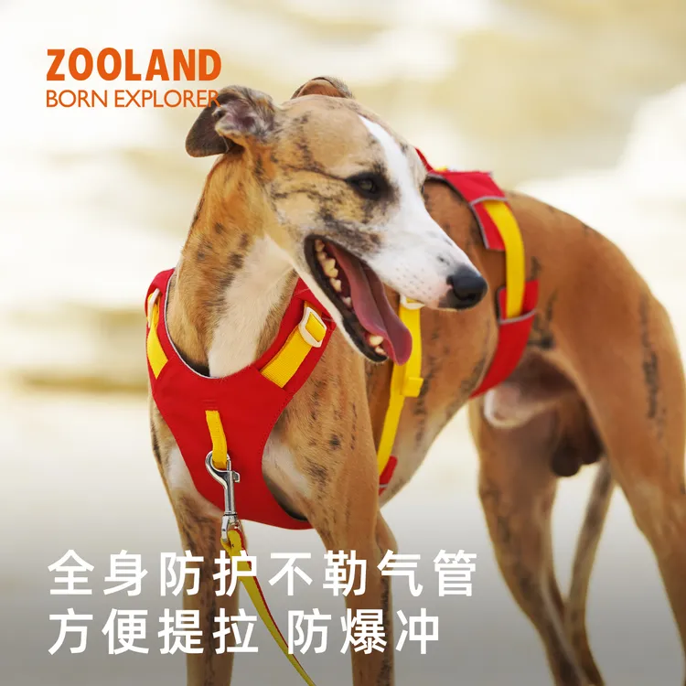 ZOOLAND狗狗胸背牵引绳小中大型犬遛狗可提拉防挣脱爆冲宠物链子