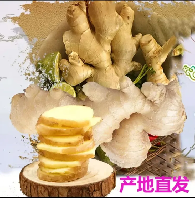 【产地直发】东北当季老生姜现挖精品窖藏保鲜老姜姜香浓郁调味佳品