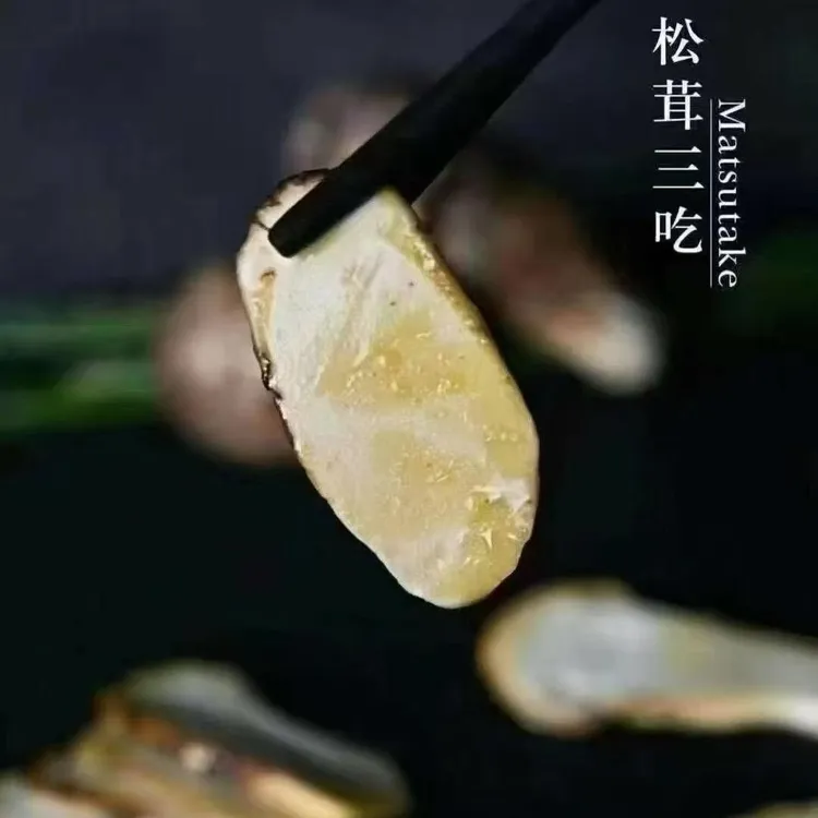 精品甘孜九龙新鲜松茸新鲜松茸松茸新鲜（3-5