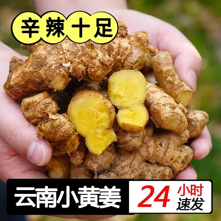 【精选】高山现挖云南小黄姜新鲜老姜嫩姜姜香浓郁