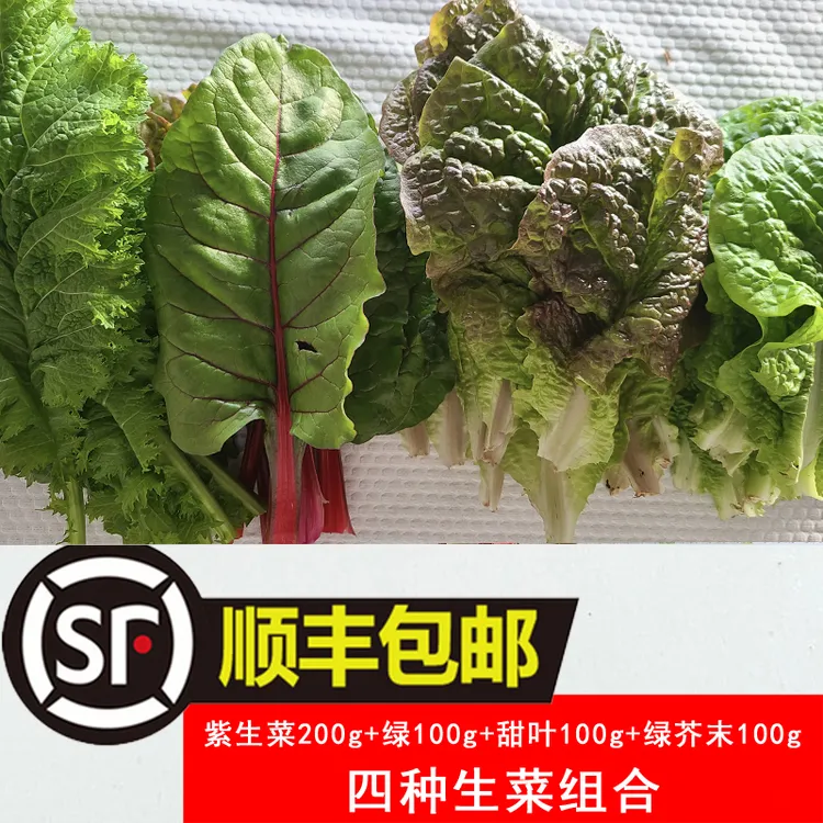 【顺丰包邮】韩式生菜4种生菜组合韩国烤肉包饭蘸酱烤肉店用新鲜
