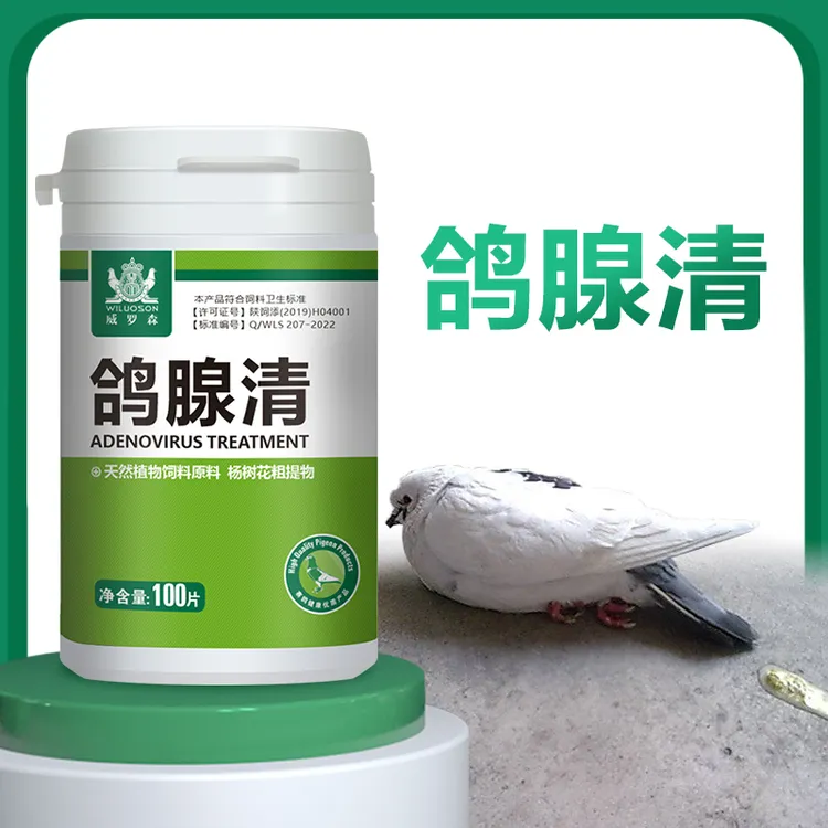 鸽腺清甩拉吐沙门氏菌拉稀水绿白便赛信鸽子清鸽大全常见问题