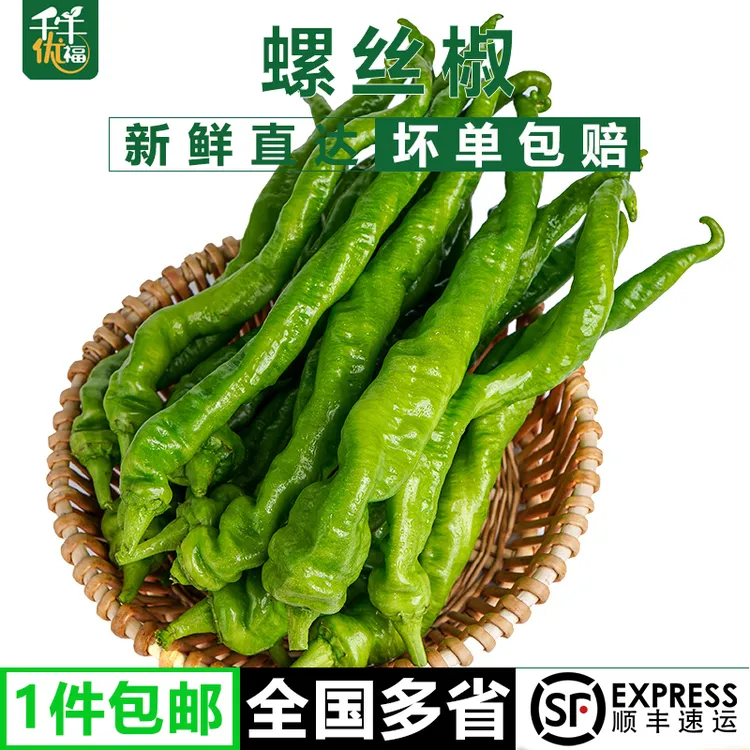 顺丰现摘螺丝椒 薄皮肉厚超辣皱皮 农家特辣香辣青椒蔬菜当季发