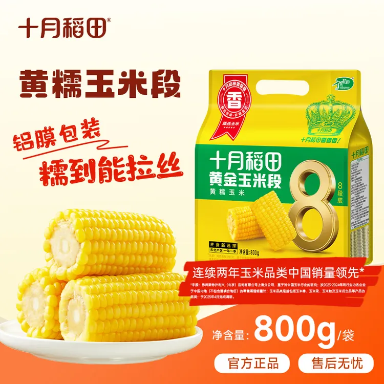 十月稻田黄糯玉米段白糯香甜糯东北黏苞米粗粮轻食早餐食材夜宵