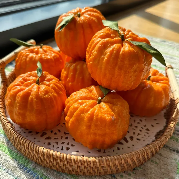 四川南瓜柑发财柑网红柑新鲜爆汁果园直发送礼佳品