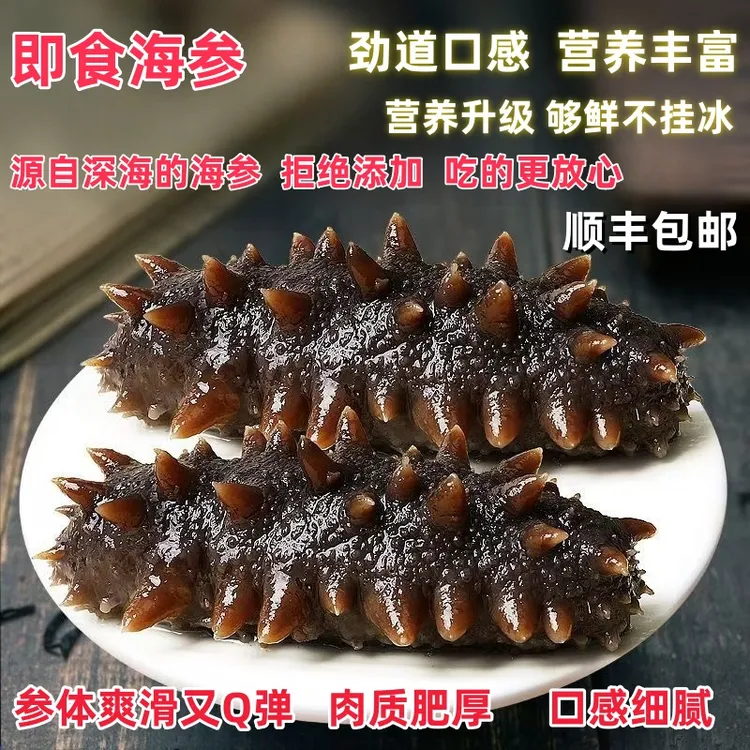 【免泡发】即食海参热销辽剌参云仓发货500g方便实惠高品质营养滋补