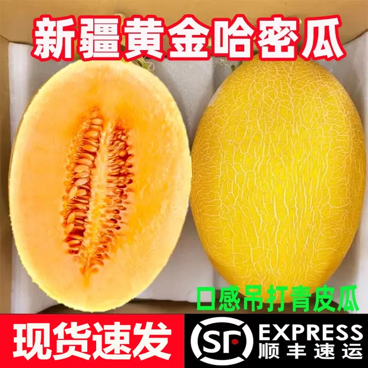 哈密瓜新疆正宗金色年华号黄金哈密瓜新鲜水果网纹蜜瓜