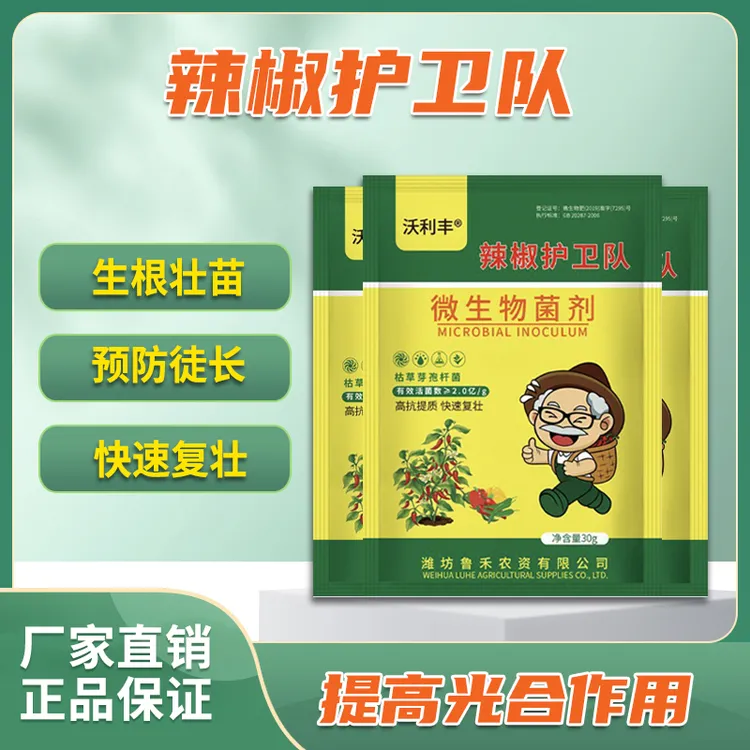 果满园辣椒护卫队蔬菜微生物菌辣椒植物符合水溶肥料园艺用品商品图