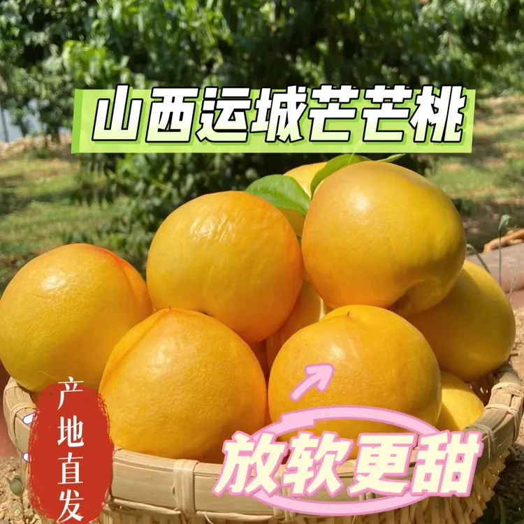 新鲜芒芒桃芒果黄金油桃-新鲜采摘-硬吃脆甜软吃蜜甜 当季鲜果