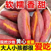 正宗黄心蜜薯新鲜现挖超甜软糯地瓜番薯