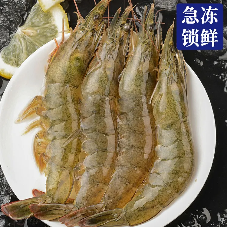 渤海湾盐田虾【汪子虾】山东老补盐田虾渔民自养肉质紧实味道鲜美
