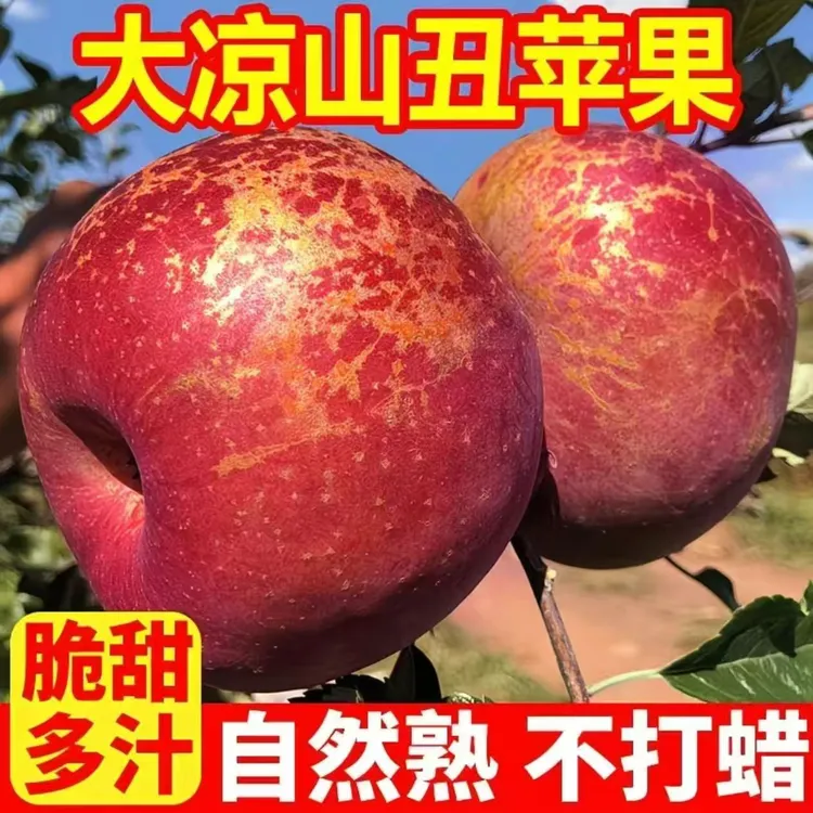 【高山老树】正宗四川大凉山盐源县丑苹果脆甜多汁5斤8斤装发货品质
