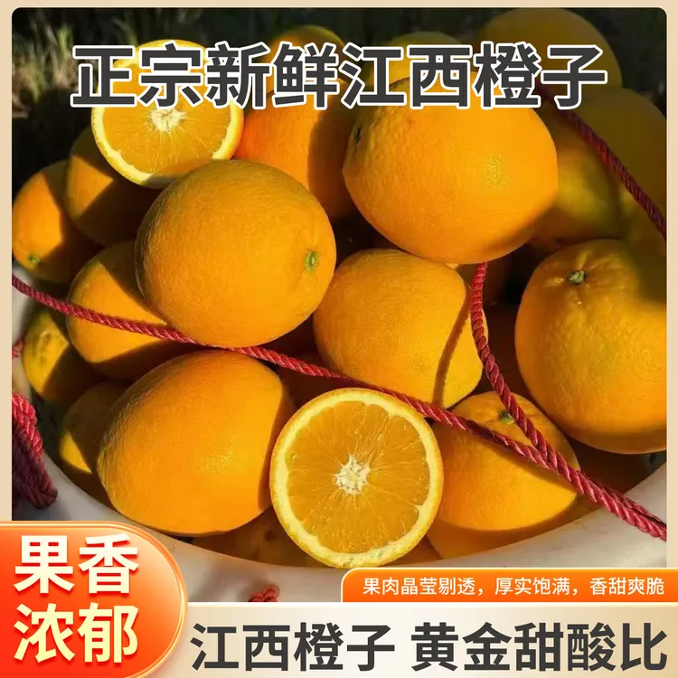 混装精品果  正宗赣南脐橙 现摘现发 香甜多汁 产地直发水果