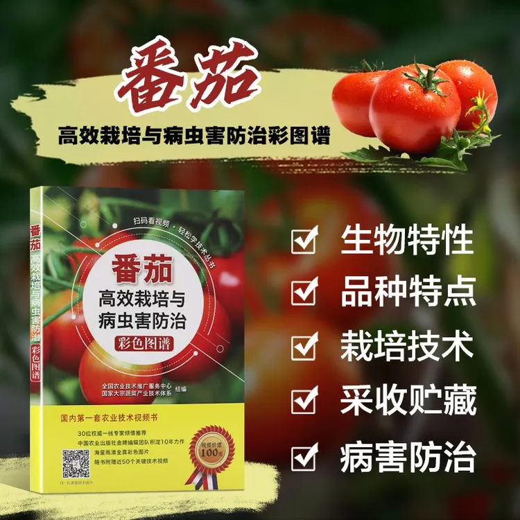 番茄高效栽培与病虫害防治彩色图谱 番茄高效栽培 番茄病虫害防治