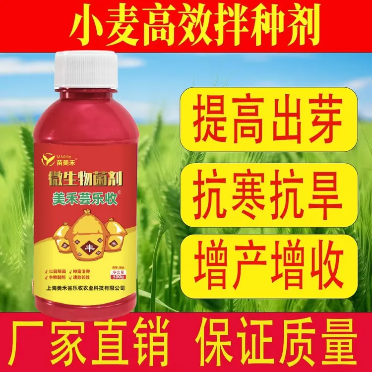 【美禾芸乐收】小麦专用拌种剂大蒜油菜花生多效合一小麦拌种剂