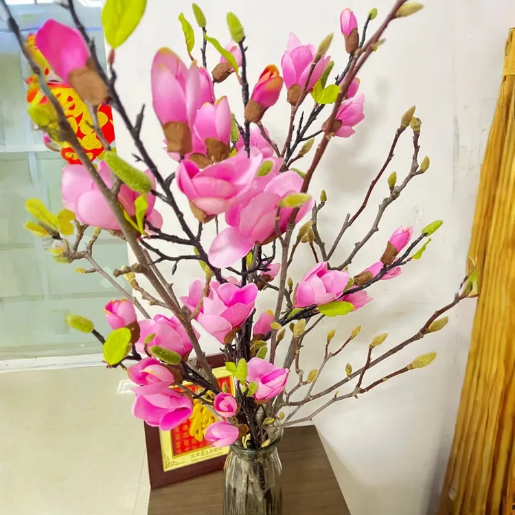 遇水开花水培玉兰鲜枝带花苞室内外耐寒浓香好养花卉绿植