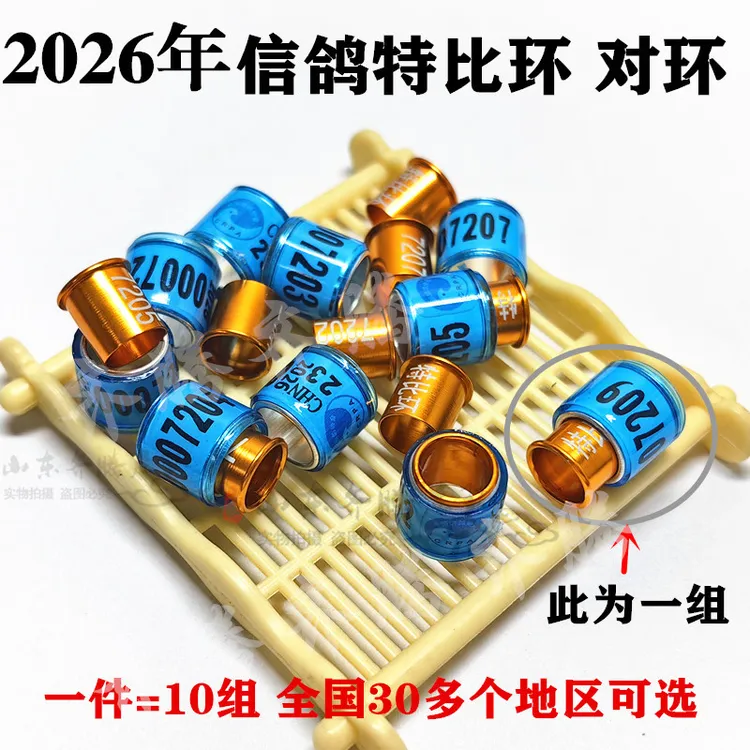 2026年统一环特比对环鸽子脚环不带证比赛俱乐部鸽环