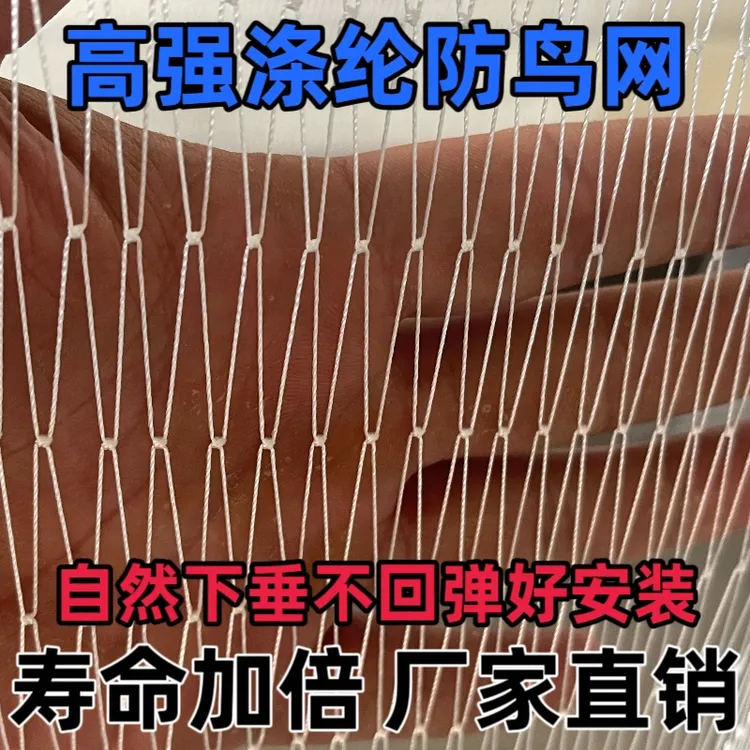 涤纶合股材质大棚通风口防鸟果树防鸟网鱼塘防鸟网结实耐用抗氧化