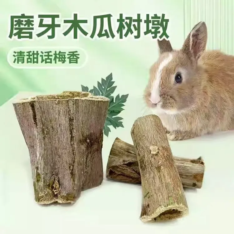 磨牙木瓜墩兔子龙猫荷兰猪磨牙棒零食烘干木瓜树墩树茎木瓜丝玩具