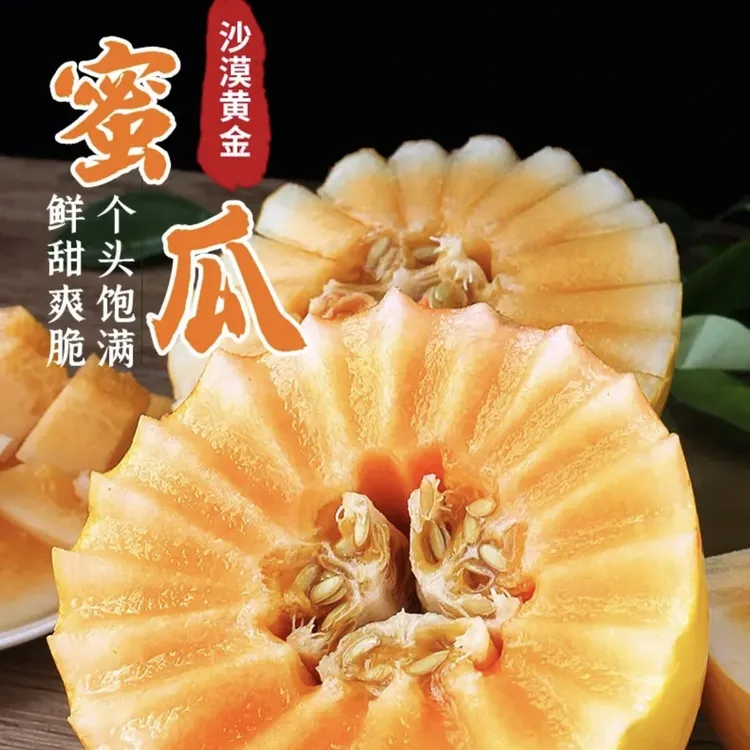 t产地直发正宗民勤沙漠蜜瓜金黄河蜜新鲜当季水果