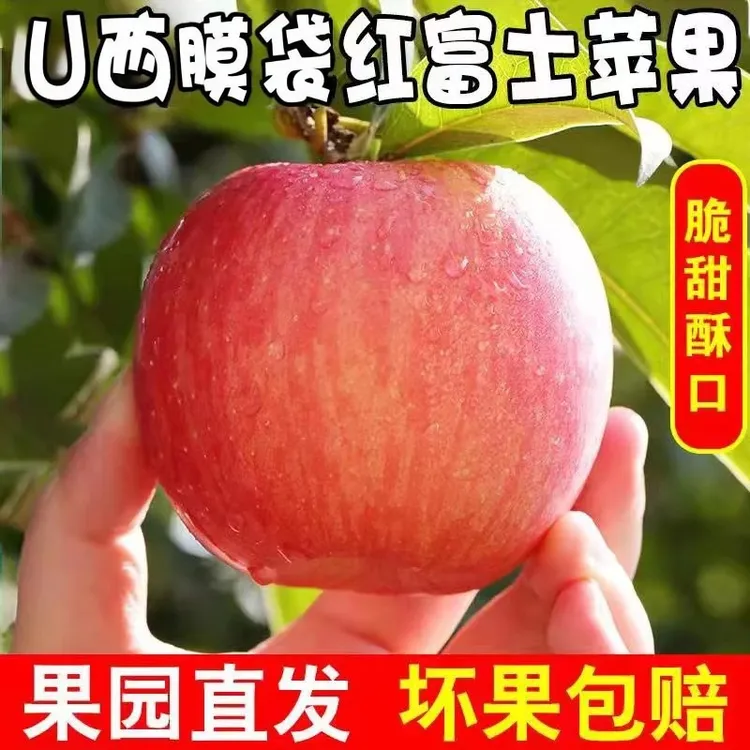 山西红富士苹果脆甜多汁5/10斤甜冰糖心苹果新鲜当季时令水果批发