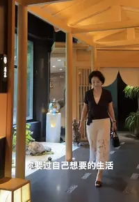 【双全设计款】V领毛针织三分袖花纱针织上衣