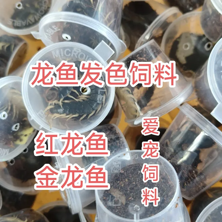 龙鱼发色蜈蚣鱼食红头蜈蚣龙鱼爱吃龙鱼吃蜈蚣的好处饲料