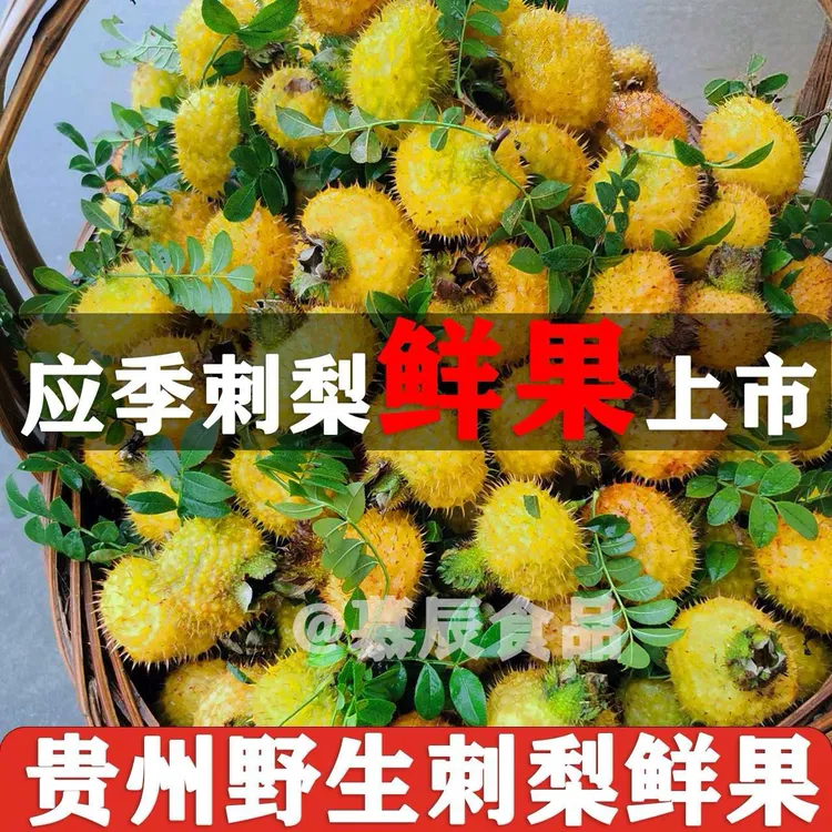 贵州野生刺梨鲜果高山刺梨果应季鲜果可泡茶泡酒现摘现发富含维C