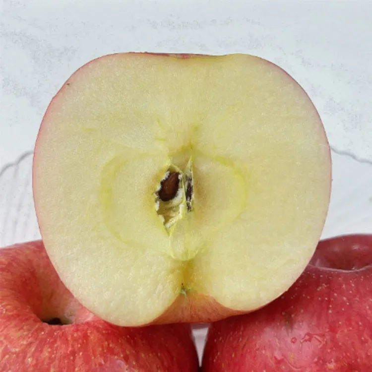 新果2025年新果洛川苹果脆甜多汁新鲜水果  4.5斤彩箱