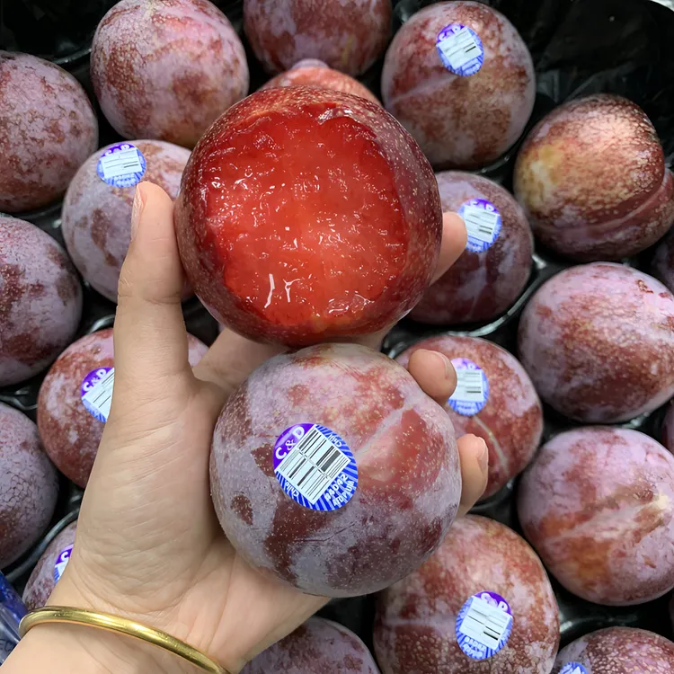 智利进口血丝李凤凰李当季新鲜水果红肉红心李子恐龙蛋大果【顺丰】